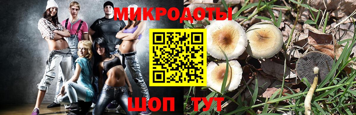 Галлюциногенные грибы Cubensis  Вход с VPN  Бузулук 